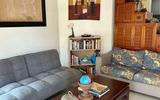 Гостиная с серым диваном и глобусом на столе