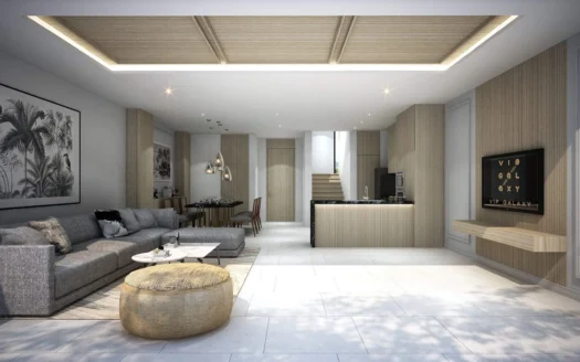 VIP Galaxy Villa – Townhouse Type C