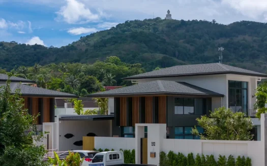 Современная вилла с серой крышей на фоне холма и статуей