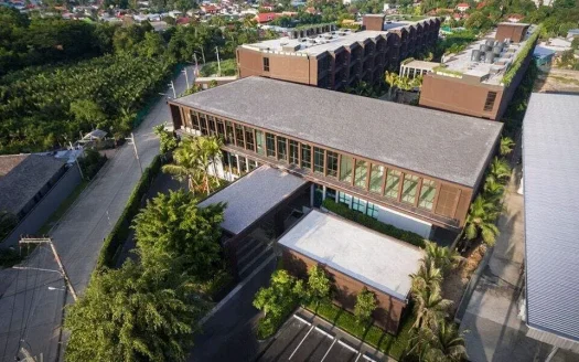 Крупный вид сверху на коричневое стеклянное здание с длинными окнами и пальмами