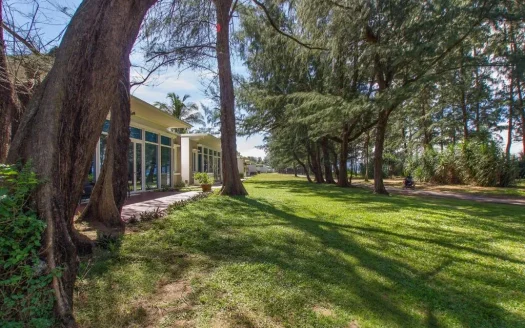 Экстерьер здания с стеклянным фасадом вдоль тенистого газона