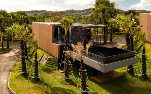 Воздушный вид на современную виллу с пальмами